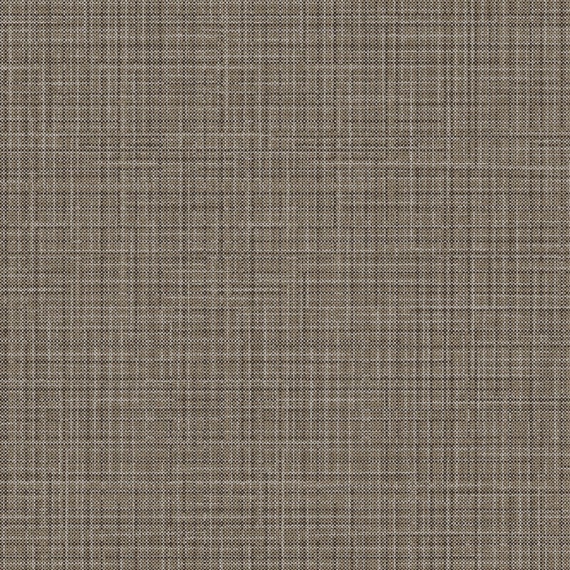 Silver & Brown Lined NE37