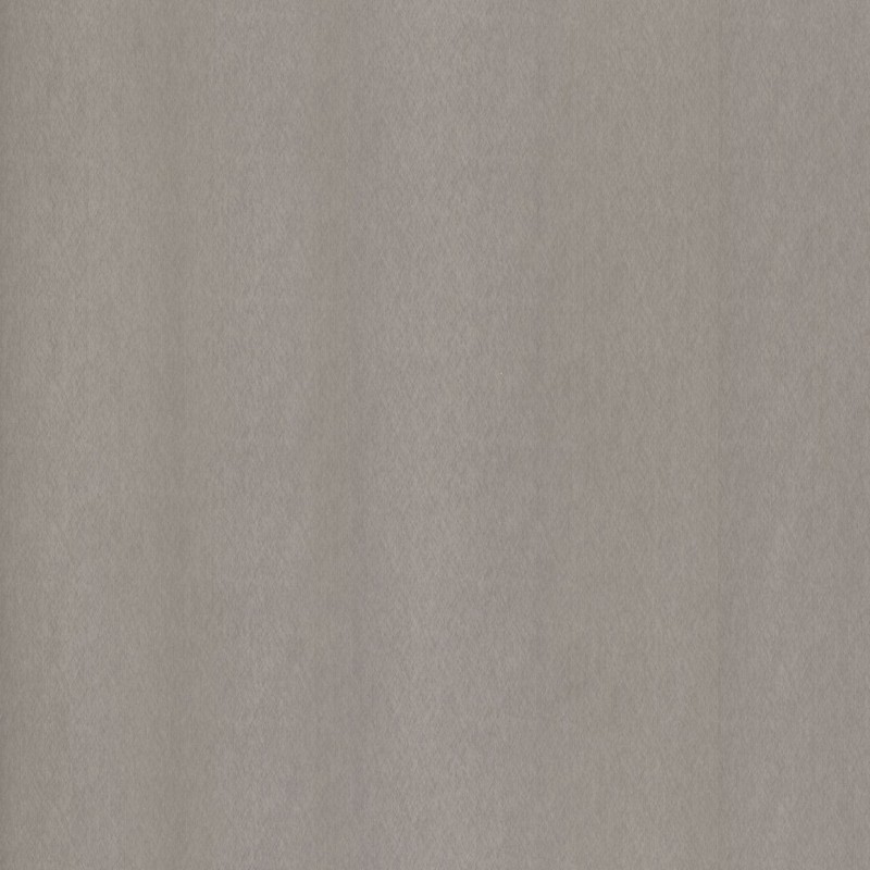 Champagne Silver NE51