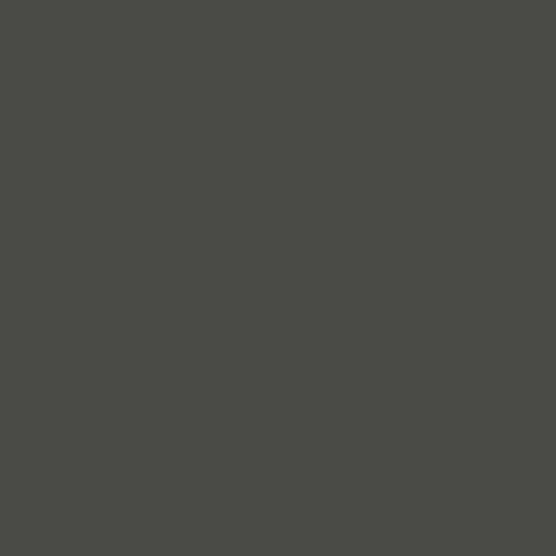 Fossil Grey NE82