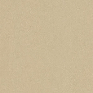 Cashmere NE42