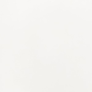 Lacquered White J4