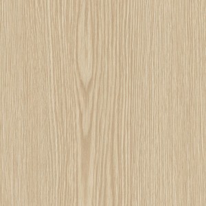 Cream Pine AG20