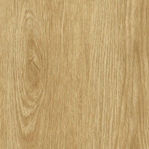 Tan Oak NF34