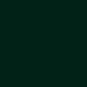 Deep Green NF13