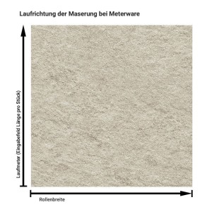 Beige Raw Granite NH35